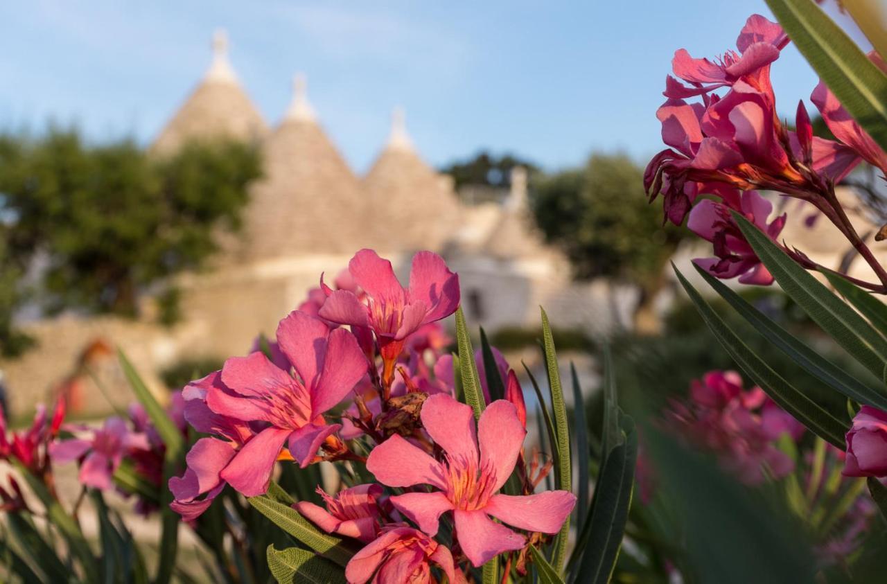 Ferienwohnung Trulli Angela Locorotondo Exterior foto